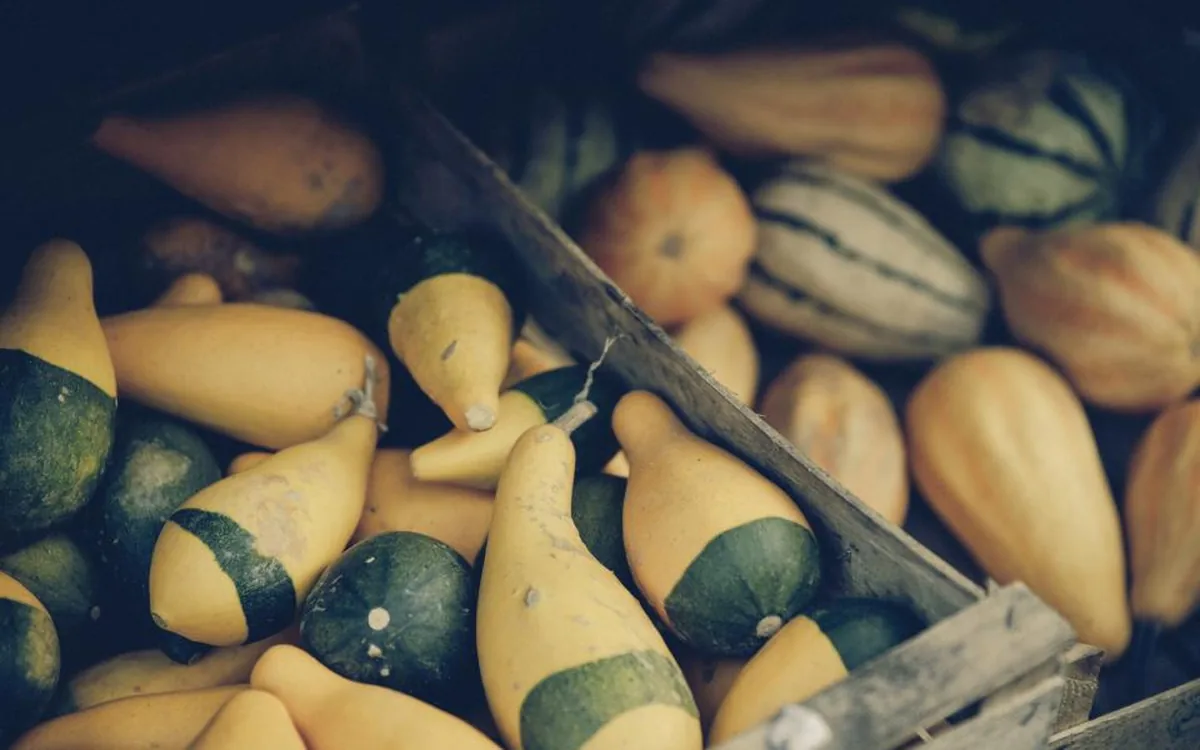 Palletstelling in een gekoeld distributiecentrum voor levensmiddelen
